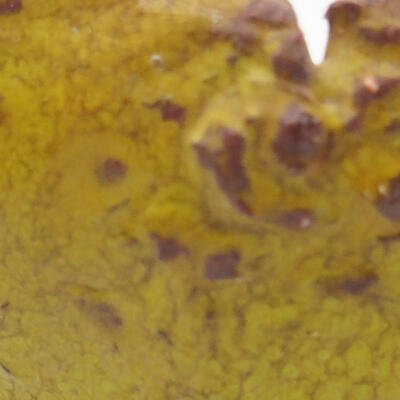 Keramická Skořápka  5 x 6 x 4 cm , barva žlutá - 2