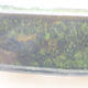 Keramická bonsai miska 17,5 x 13,5 x 5 cm, barva zelená - 2/3