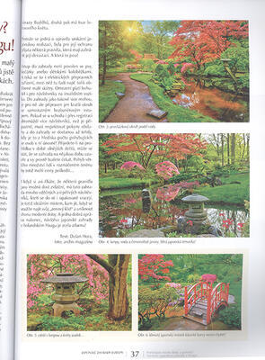 Bonsaje a Japonské zahrady č.66 - 2