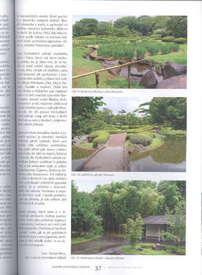 Bonsaje a Japonské zahrady č.68 - 2