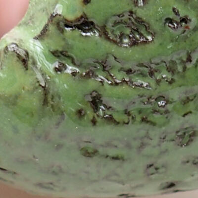 Keramická Skořápka  7,5 x 7 x 4,5 cm , barva zelená - 2
