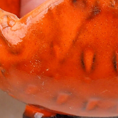 Keramická Skořápka  7,5 x 7 x 5,5 cm , barva oranžová - 2