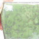 Keramická bonsai miska 7,5 x 7,5 x 6,5 cm, barva zelená - 2/3