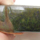 Keramická bonsai miska 10,5 x 10,5 x 2,5 cm, barva zelená - 2/3