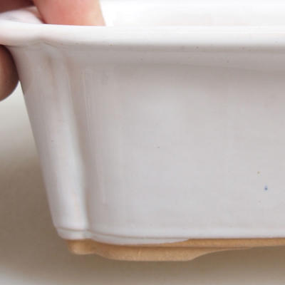 Bonsai miska 16,5 x 12 x 6 cm, bílá - 2