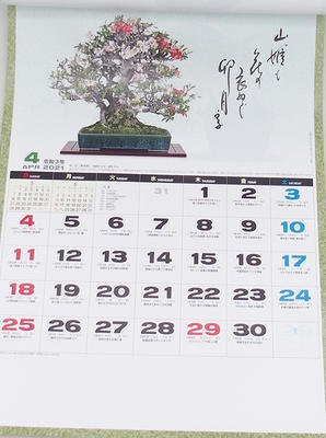Bonsai nástěnný kalendář 2021 - 2