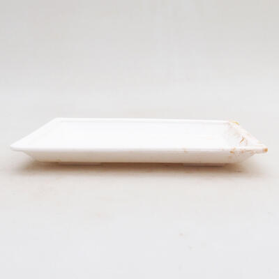Bonsai podmiska plast PP-1 bílá 15 x 11 x 1,8 cm - 2