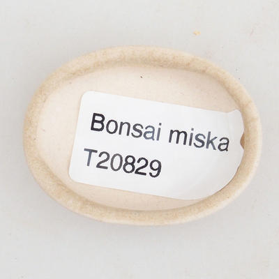 Mini bonsai miska 4,5 x 3,5 x 1,5 cm, barva béžová - 3