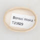 Mini bonsai miska 4,5 x 3,5 x 1,5 cm, barva béžová - 3/3