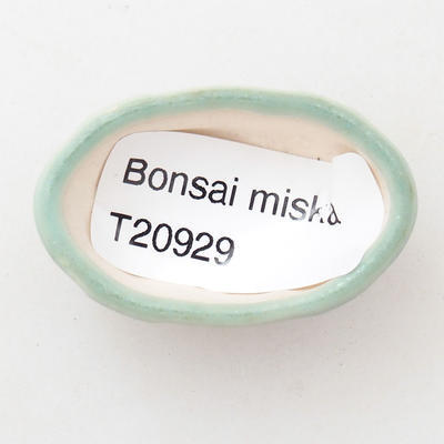 Mini bonsai miska 4 x 2,5 x 2 cm, barva zelená - 3