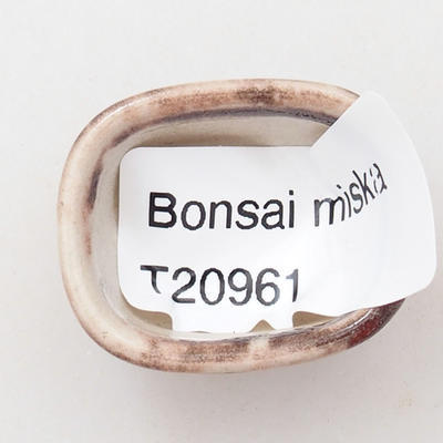 Mini bonsai miska 3 x 2,5 x 1,5 cm, barva oranžová - 3