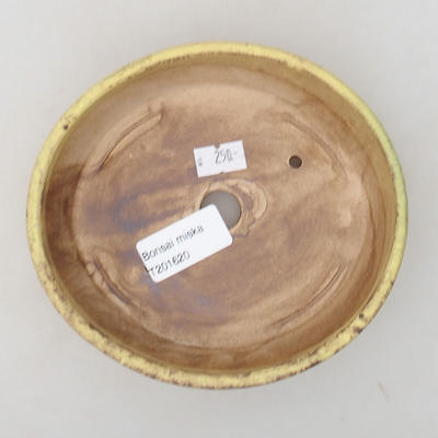 Keramická bonsai miska 15 x 13,5 x 4 cm, barva žlutá - 3