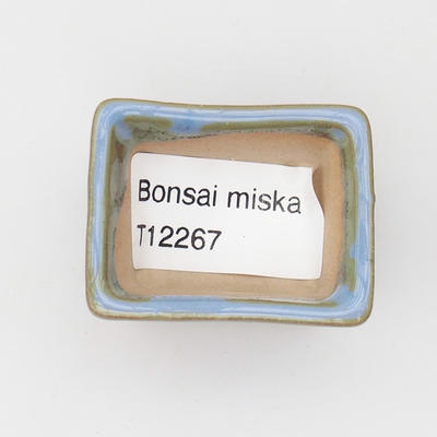Mini bonsai miska 4 x 3 x 2,5 cm, barva modrá - 3