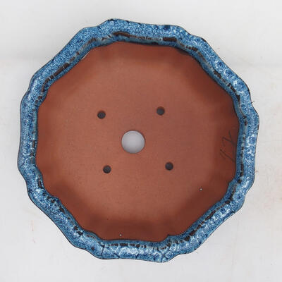 Bonsai miska 19 x 19 x 6 cm, barva modrá - 3
