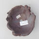 Keramická bonsai miska 11 x 11 x 5 cm, barva režná - 2.jakost - 3/3