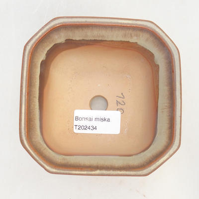 Bonsai miska 11 x 11 x 6,5 cm, barva hnědobéžová - 3