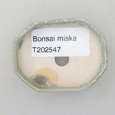 Mini bonsai miska 5,5 x ,5 x 1,5 cm, barva zelená - 3