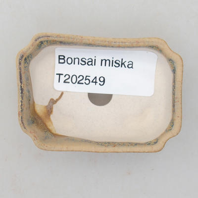 Mini bonsai miska 6 x 4 x 1,5 cm, barva béžovozelená - 3