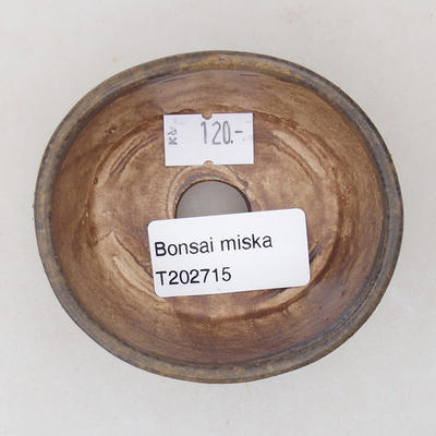 Keramická bonsai miska 7,5 x 6,5 x 3,5 cm, barva hnědá - 3