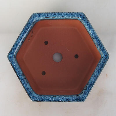 Bonsai miska 17 x 15 x 6 cm, barva modrá - 3
