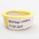 Mini bonsai miska 4,5 x 4 x 2 cm, barva žlutá - 3/3