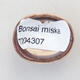 Mini bonsai miska 3 x 2,5 x 1,5 cm, barva červená - 3/3