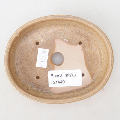Keramická bonsai miska 11,5 x 9,5 x 2,5 cm, barva béžová - 3