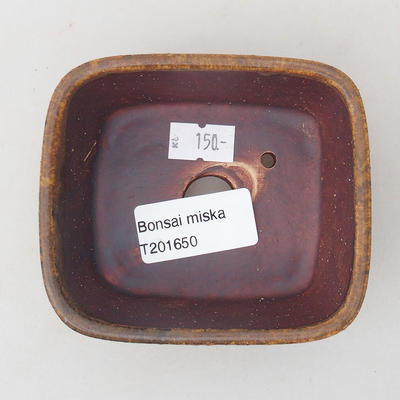Keramická bonsai miska 9,5 x 8 x 3,5 cm, barva cihlová - 3