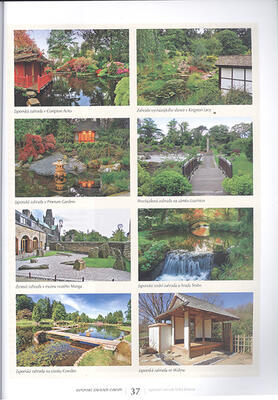 Bonsaje a Japonské zahrady č.67 - 3