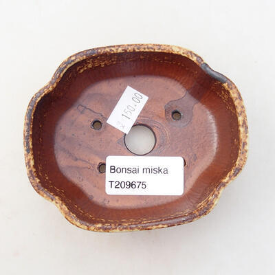 Keramická bonsai miska 10 x 8 x 3,5 cm, farba žltohnedá - 3