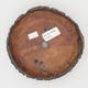 Keramická bonsai miska - páleno v plynové peci 1240 °C - 3/4