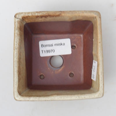 Keramická bonsai miska - VEVERKA - 9 x 9x 5,5 cm, barva béžová - 3