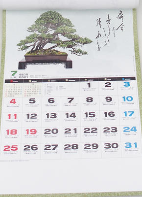 Bonsai nástěnný kalendář 2021 - 3