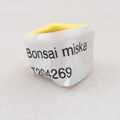 Mini bonsai miska 2 x 2 x 1,5 cm, farba žltá - 4