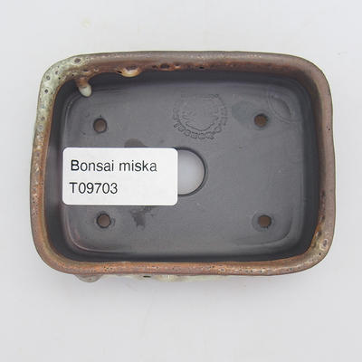 Bonsai miska - 4