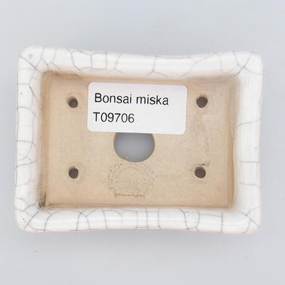 Bonsai miska - 4
